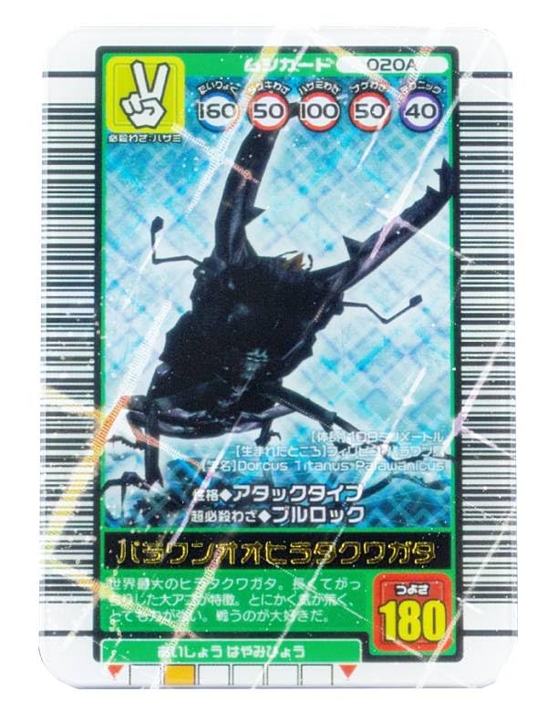 Amazon | 【パラワンオオヒラタクワガタ】 甲虫王者ムシキング(TM