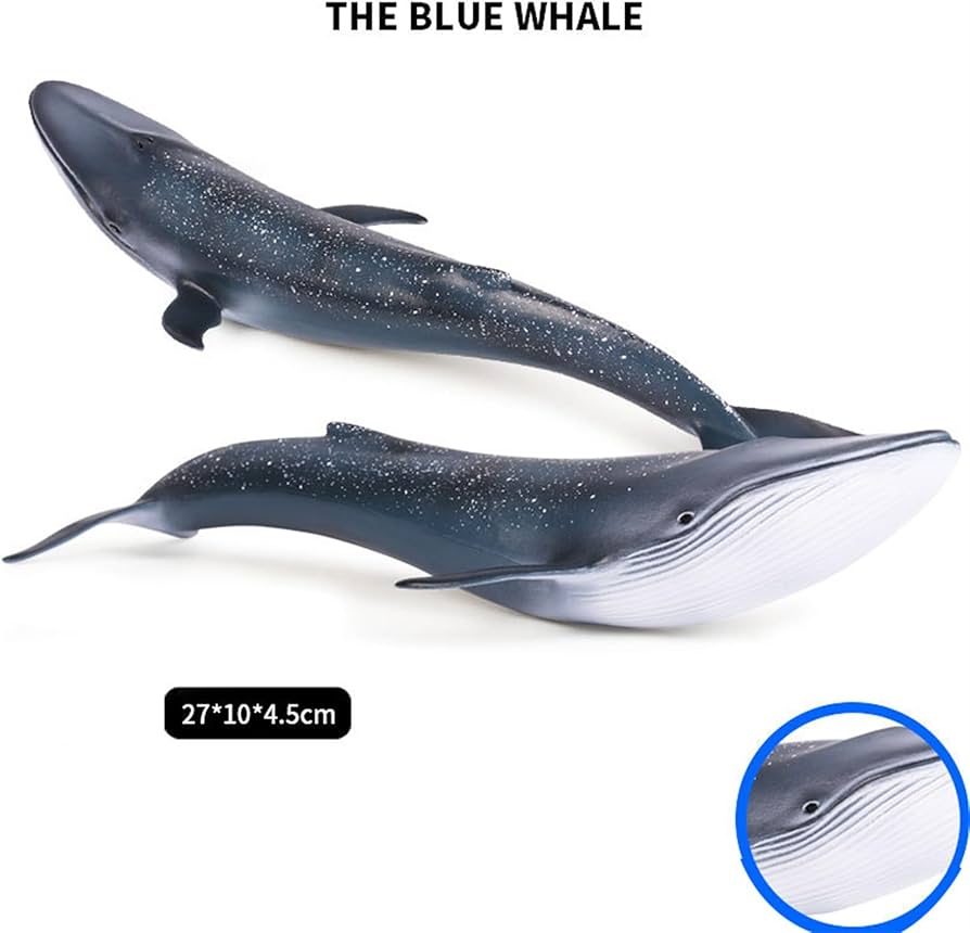Amazon | EUHELOPA シロナガスクジラ フィギュア 藍鯨 鯨 ジャンプの姿