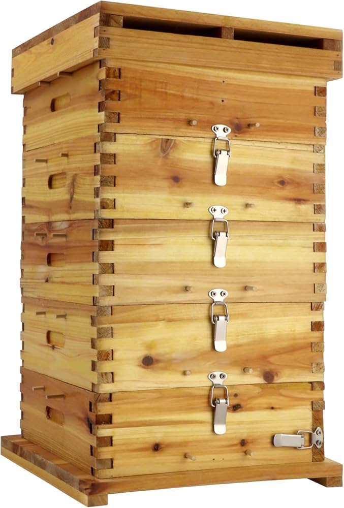 Amazon.co.jp: RemixOri ミツバチ 巣箱 木製 5層 みつばちの巣箱