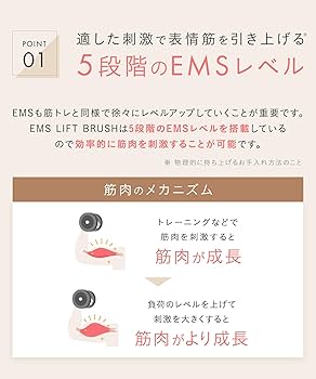 Amazon.co.jp: SALONIA サロニア EMS リフトブラシ 電気ブラシ 美顔器