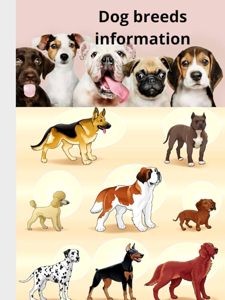 61Nz2lVVIyL._AC_UF1000,