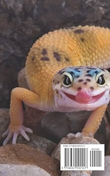 Amazon | LEOPARD GECKO: The ultimate guide on how to raise a
