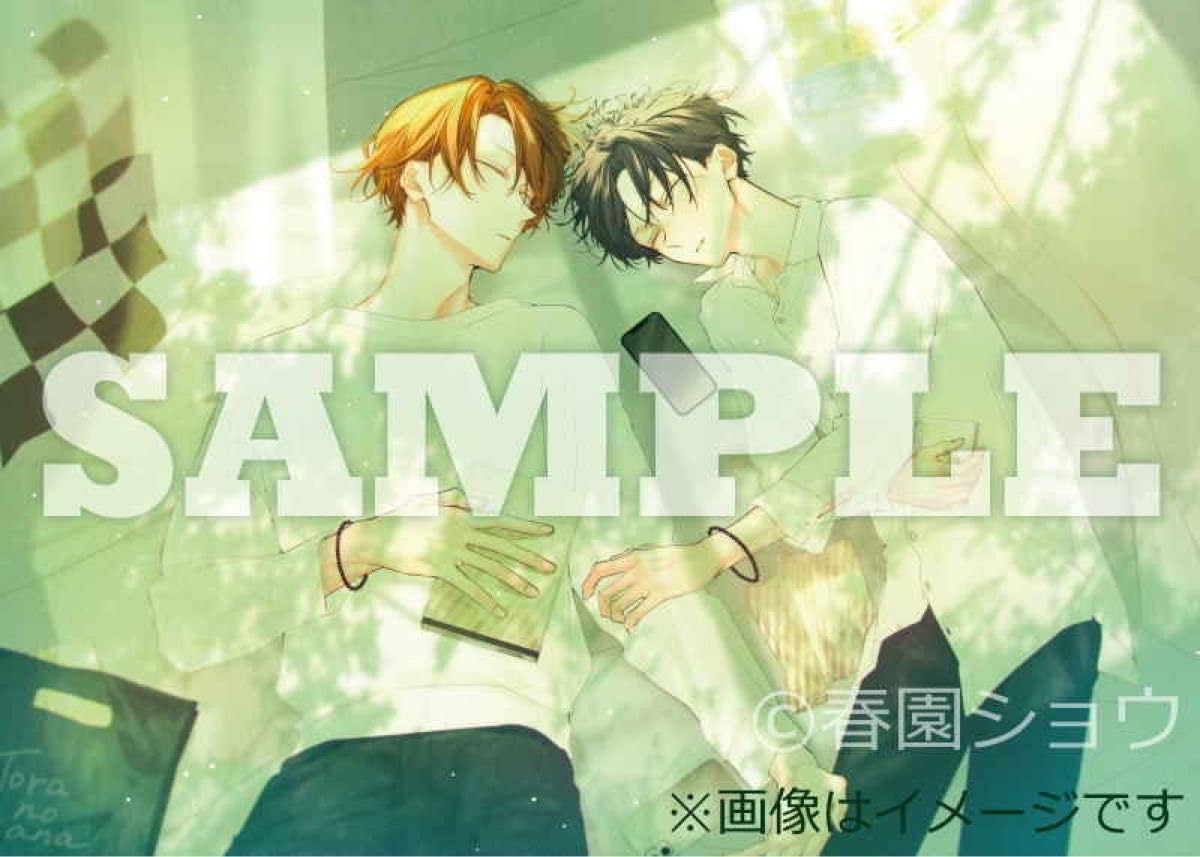 Amazon.co.jp: 佐々木と宮野 10巻 春園ショウ とらのあな限定