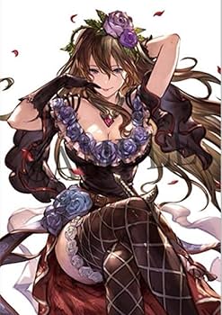 Amazon.co.jp: グラブル ソフマップ 特典 B2布ポスター グラブル