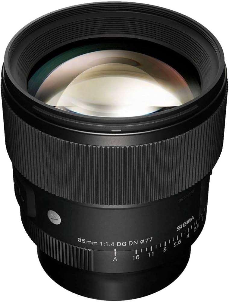 Amazon.com : Sigma 85mm F1.4 DG DN, for L-Mount : Electronics