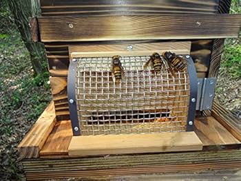 Amazon.co.jp: AK-12 日本ミツバチの巣箱 ハチノス大型ツヅリ蛾進入