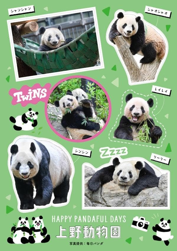 Amazon.co.jp: パンダ来日51周年記念ステッカー 上野動物園Ver. 松坂屋