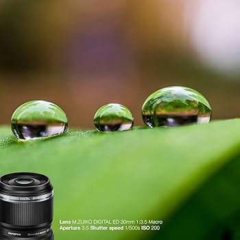 Amazon.com : Olympus M. Zuiko Digital ED 30mm F3.5 Macro Lens