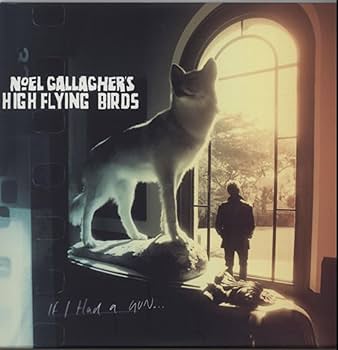 If I Had A Gun by Noel Gallagher's High Flying Birds: Amazon.co