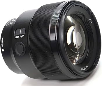 Amazon.com : Sony - FE 85mm f/1.8 Telephoto Prime Lens for E-mount