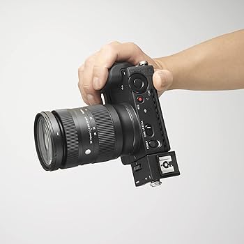 Amazon.co.jp: シグマ(Sigma) レンズ 28-70mm F2.8 DG DN Sony ソニー