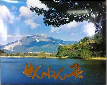 Amazon.co.jp: 業務用 せんねん灸 竹生島 ソフトタイプ : ドラッグストア