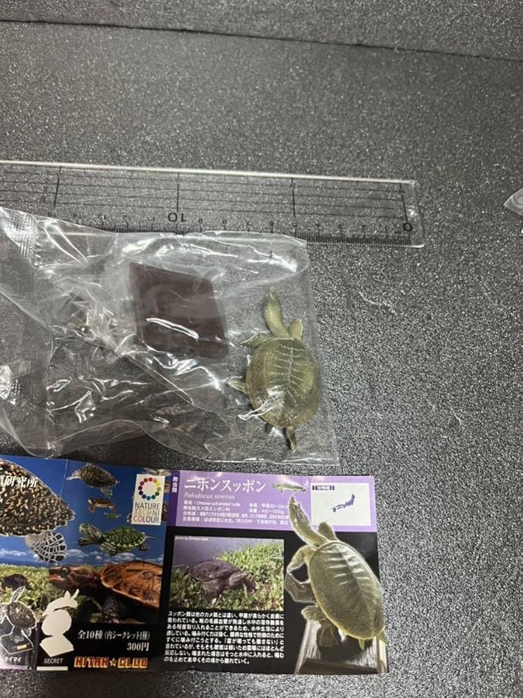 Amazon | 日本のカメ 単品 ニホンスッポン ガチャ フィギュア