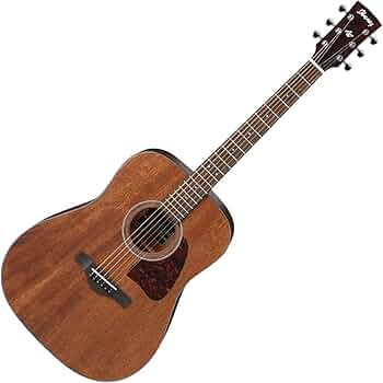 Amazon | Ibanez アイバニーズ AW54OPN Artwood Solid Top Dreadnought