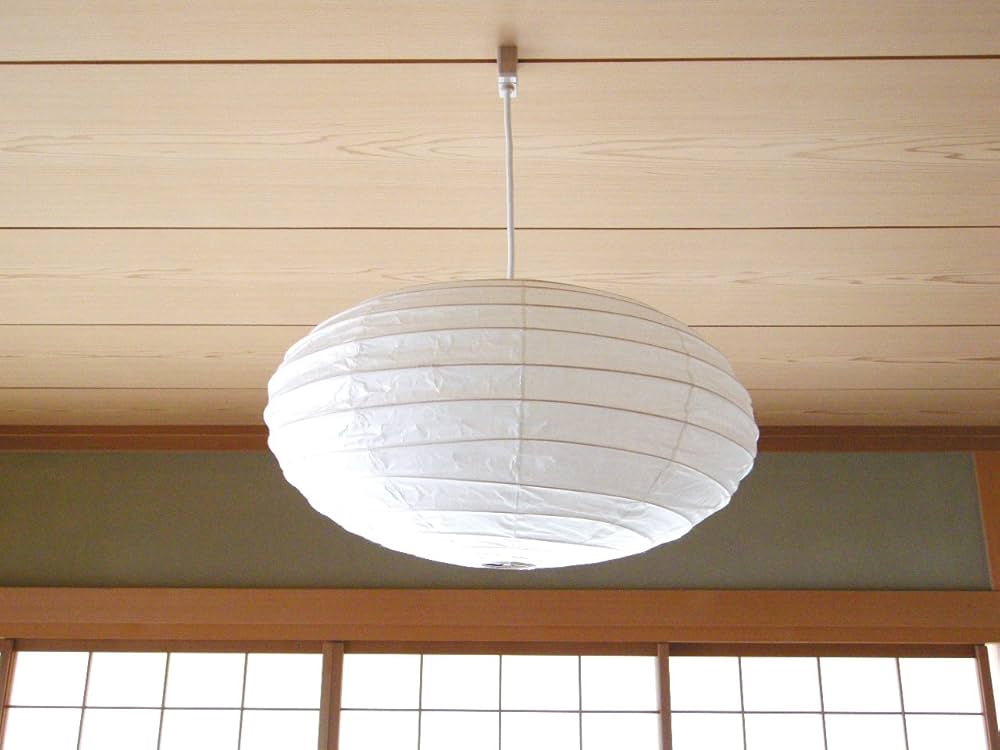 713EAC7x7ZL._AC_UF1000,