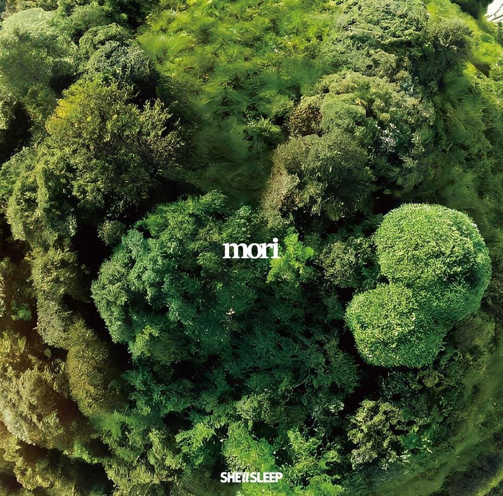 Amazon.co.jp: mori: ミュージック