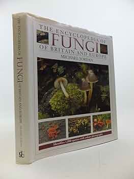 71vhqEMrCXL._AC_UF350,