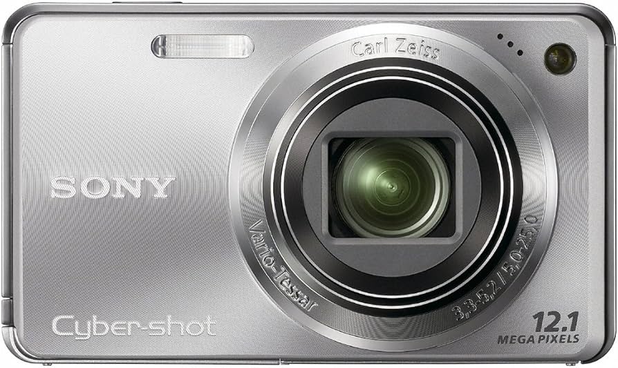 Amazon.com : Sony Cyber-shot DSC-W290 12.1 MP Digital Camera with