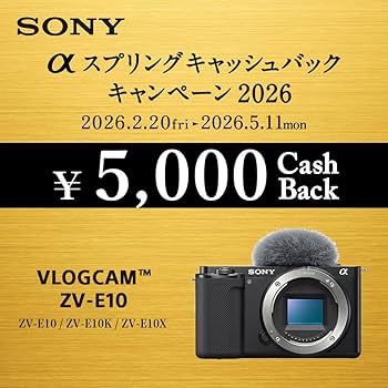 Amazon | SONY(ソニー) 【ZV-E10 と グリップ セット】 快適にVlog撮影