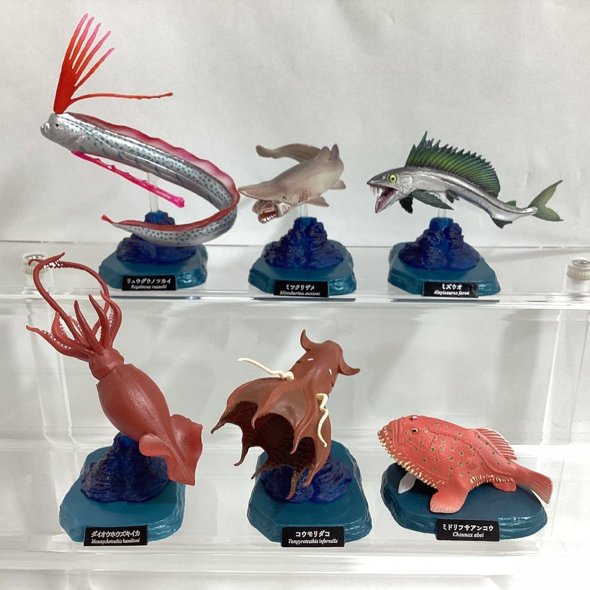 Amazon.co.jp: 海洋堂 水族館フィギュアコレクション 深海生物 特別版