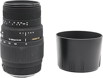 Amazon.com : Sigma 70-300mm f/4-5.6 DG Macro Telephoto Zoom Lens