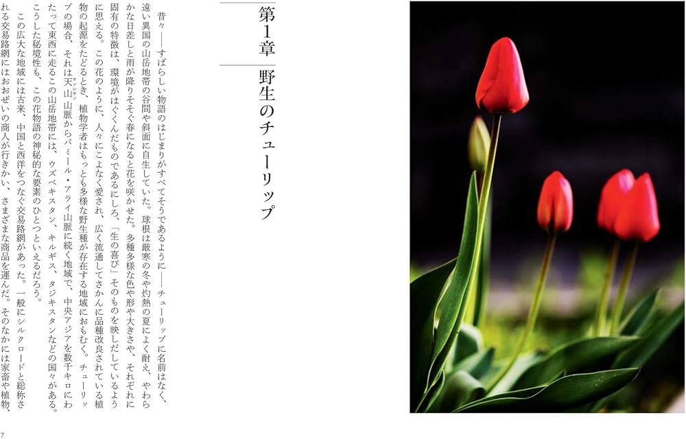 チューリップの文化誌 (花と木の図書館) | シーリア・フィッシャー