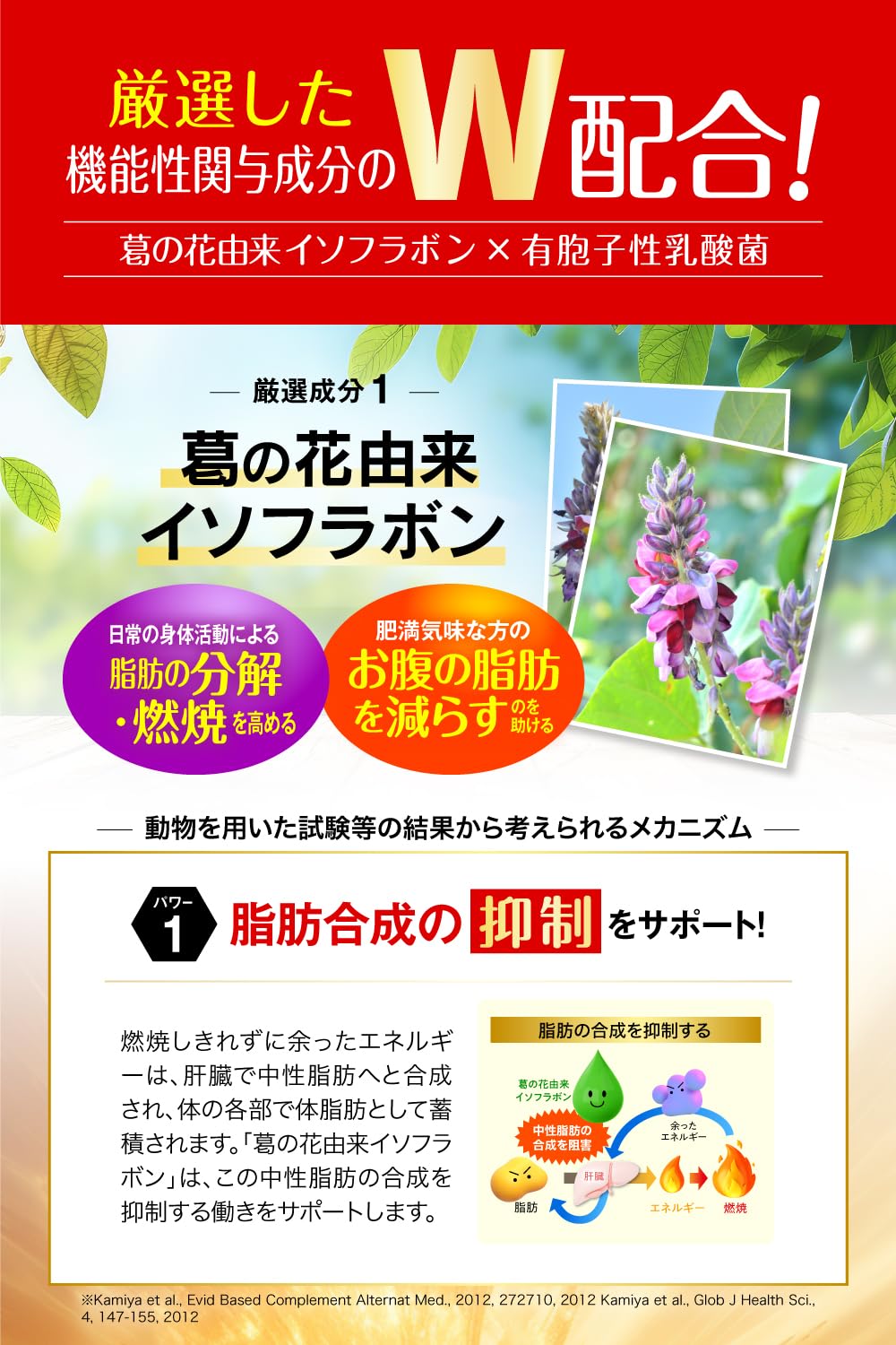 Amazon | シボヘール3 120粒入り (1日4粒 30日分) 機能性表示食品 肥満