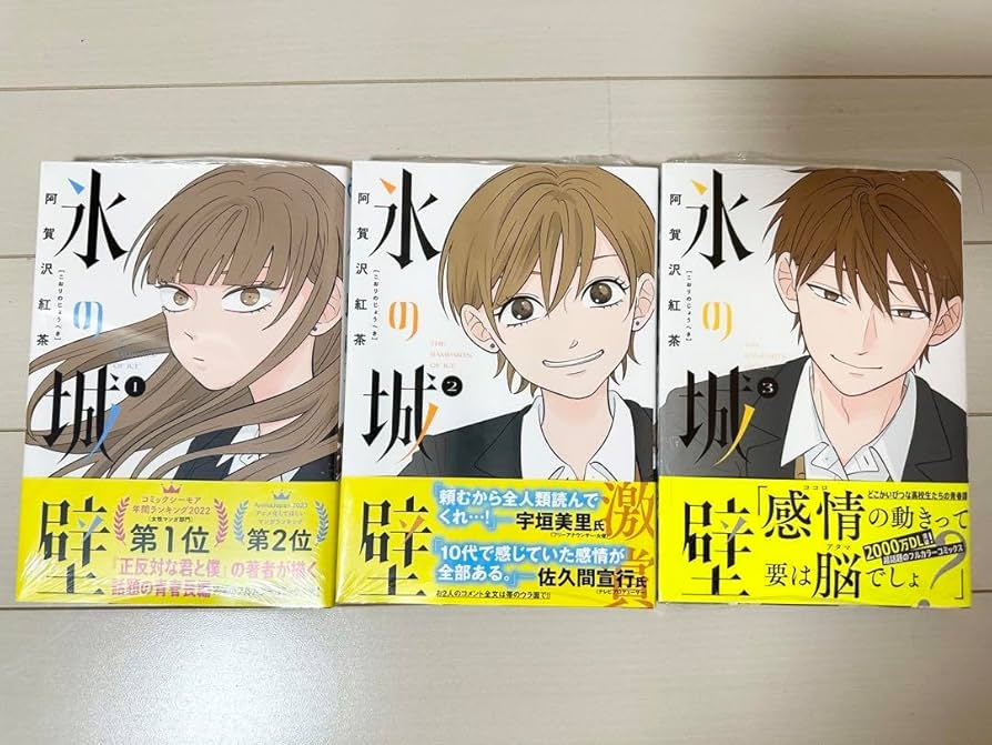 氷の城壁1〜13巻セット 氷の城壁 1-13巻セット 特典