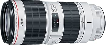 Amazon.com : Canon EF 70-200mm f/2.8L Is III USM Lens for Canon