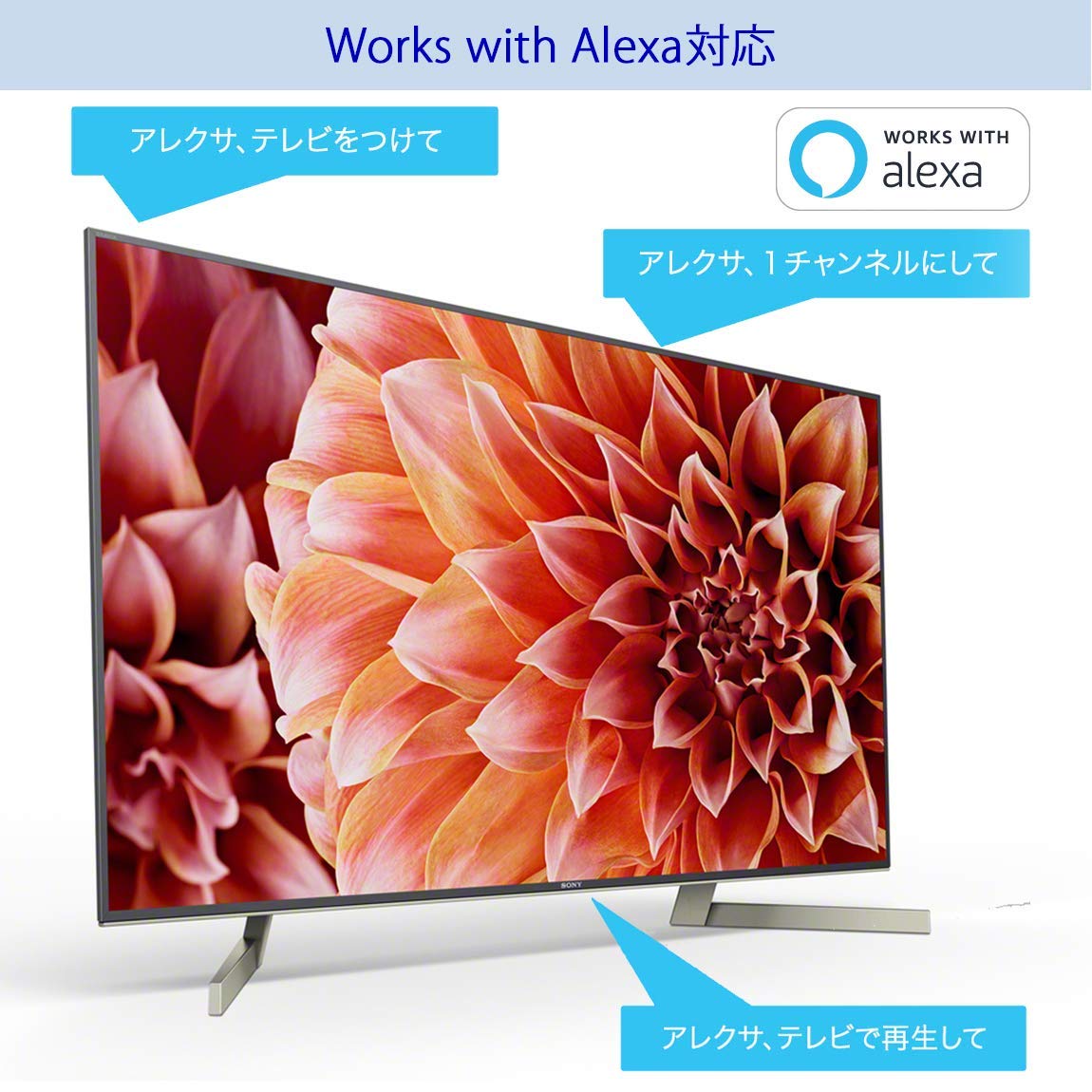 SONY 55型 4K液晶テレビ BRAVIA KJ-55X9000F 公式通販