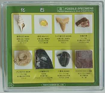 71cEM33pLKL._AC_UF350,