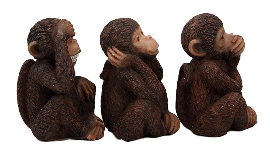 新品未開封 Wild Wise Apes 3rd world