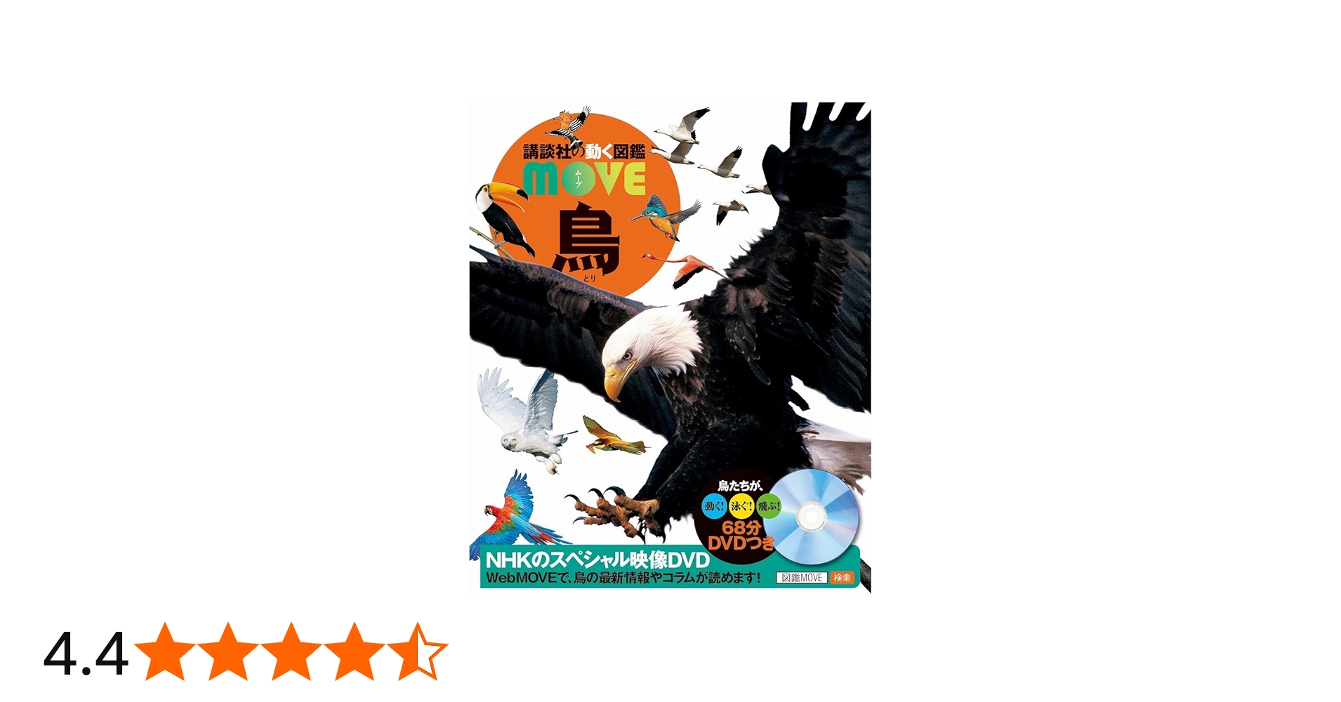 DVD付 鳥 | 講談社, 川上 和人 |本 | 通販 | Amazon