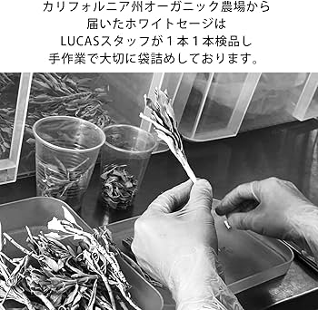 Amazon.co.jp: ホワイトセージ カリフォルニア産 オーガニック・無農薬