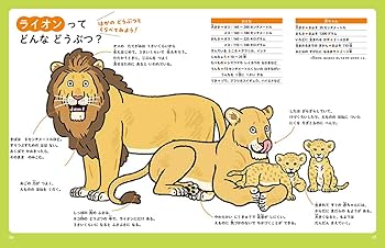 Amazon.co.jp: ライオン (教科書にのってるどうぶつの赤ちゃん) : 木坂