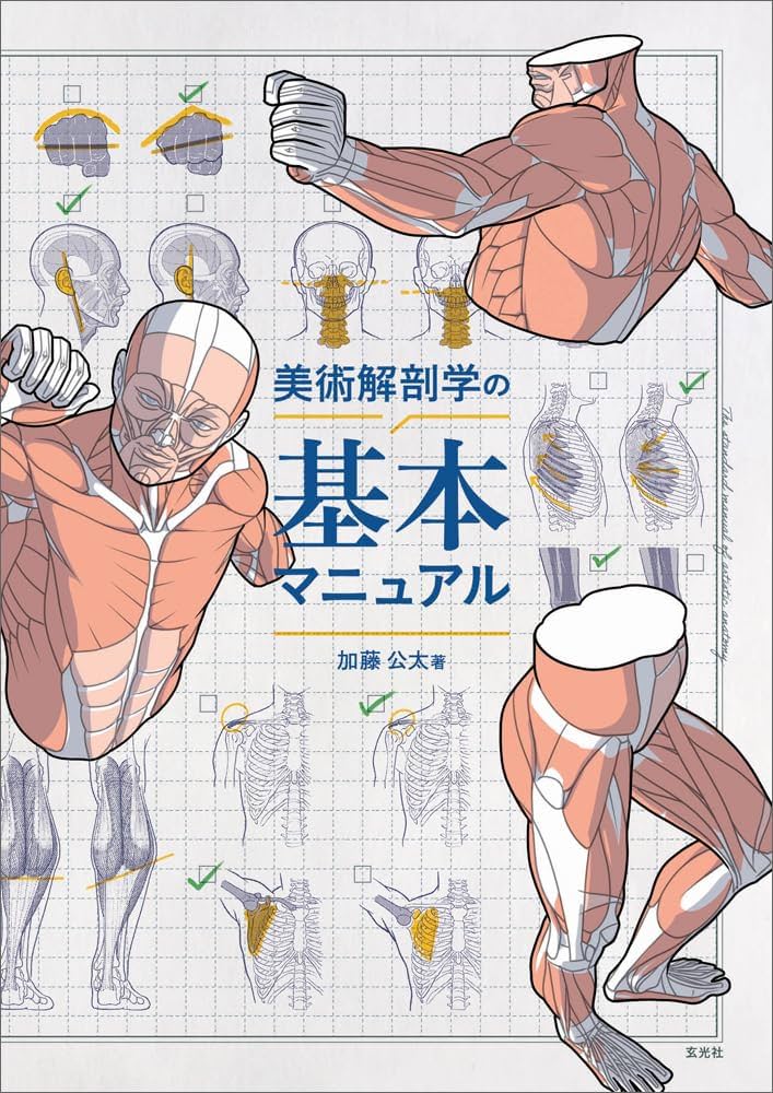 Amazon.co.jp: 美術解剖学の基本マニュアル : 加藤 公太: 本