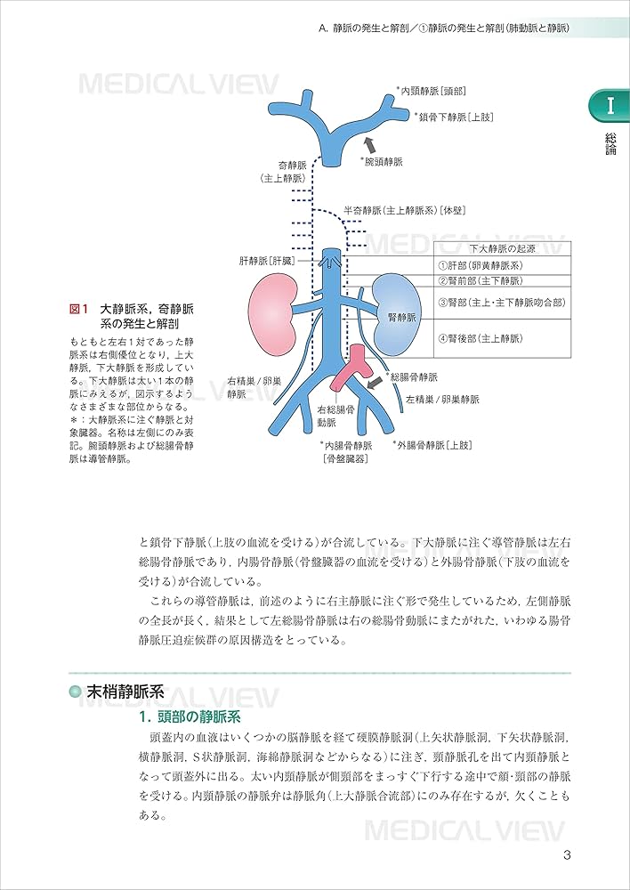 新臨床静脈学 | 日本静脈学会 |本 | 通販 | Amazon
