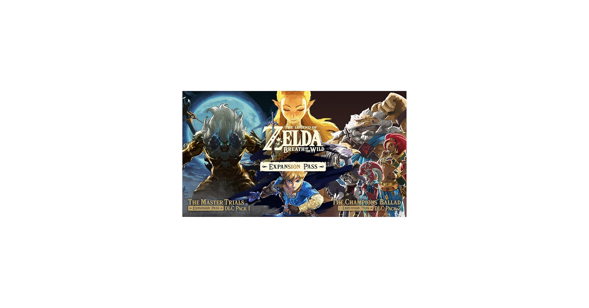 Amazon.com: The Legend of Zelda: Breath of the Wild Expansion Pass