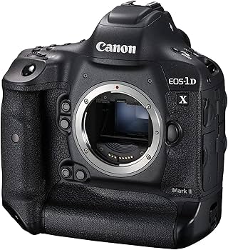 Amazon.com : Canon EOS-1DX Mark II DSLR Camera (Body Only