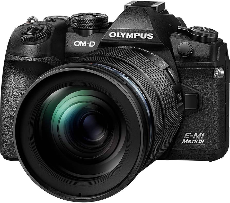 Amazon.com : OM SYSTEM Olympus OM-D E-M1 Mark III Black Camera
