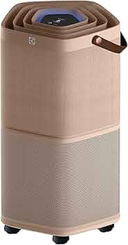 81XXf0gQ7RL._AC_UF350,