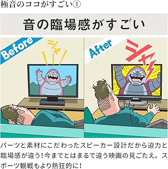 Amazon | オリオン 32V型 液晶 テレビ RN-32SH10 ハイビジョン 外付け