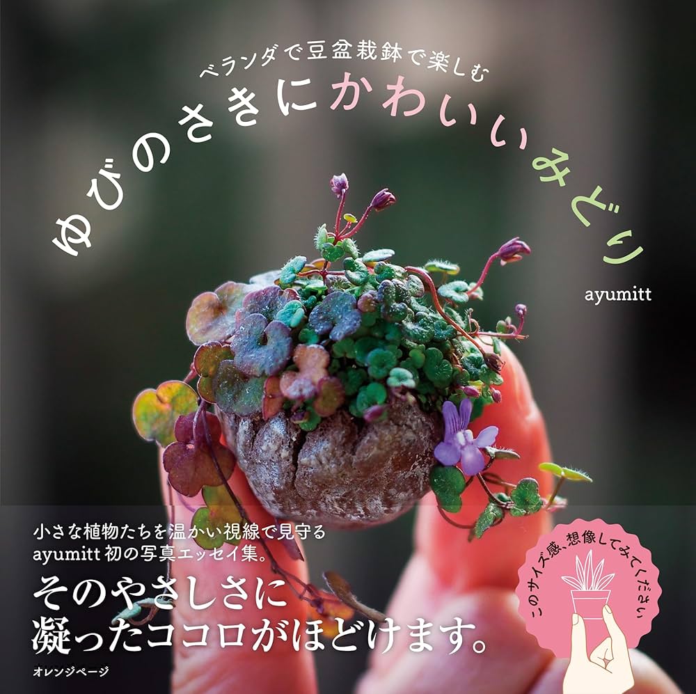 ベランダで豆盆栽鉢で楽しむ ゆびのさきにかわいいみどり | ayumitt