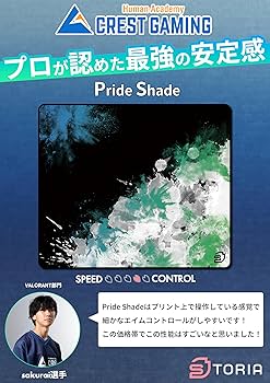 Amazon.co.jp: STORIA マウスパッド Pride Shade XL ゲーミングマウス