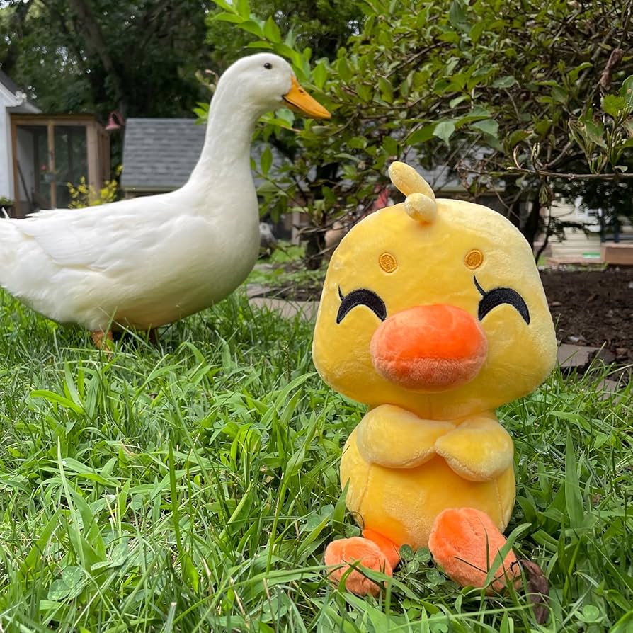 81swzeEpuOL._AC_UF894,