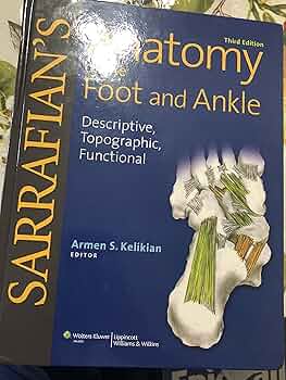 91+mcbiED4L._AC_UF350,