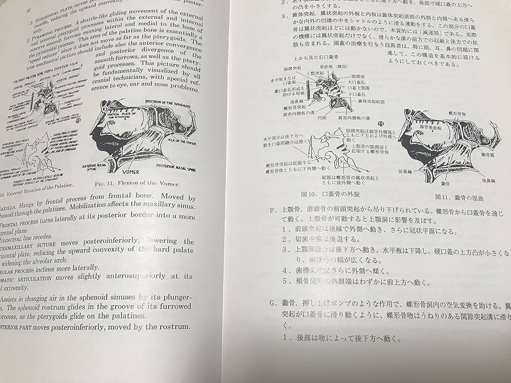 Amazon.co.jp: 頭蓋領域のオステオパシー : 本