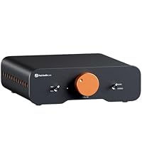 Amazon | Fosi Audio BT20A Pro 300W x2 TPA3255 Bluetooth 5.0 パワー