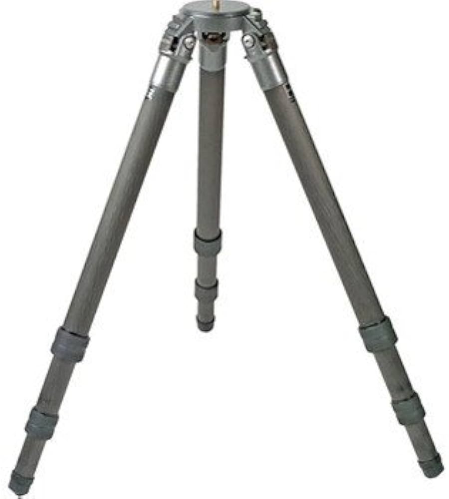 Amazon | ジッツオ システマティック カーボン6X三脚 GT5531S | 三脚 通販
