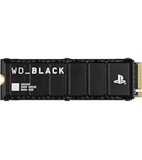 Amazon.com: WD_BLACK 1TB SN850P NVMe M.2 SSD Officially Licensed